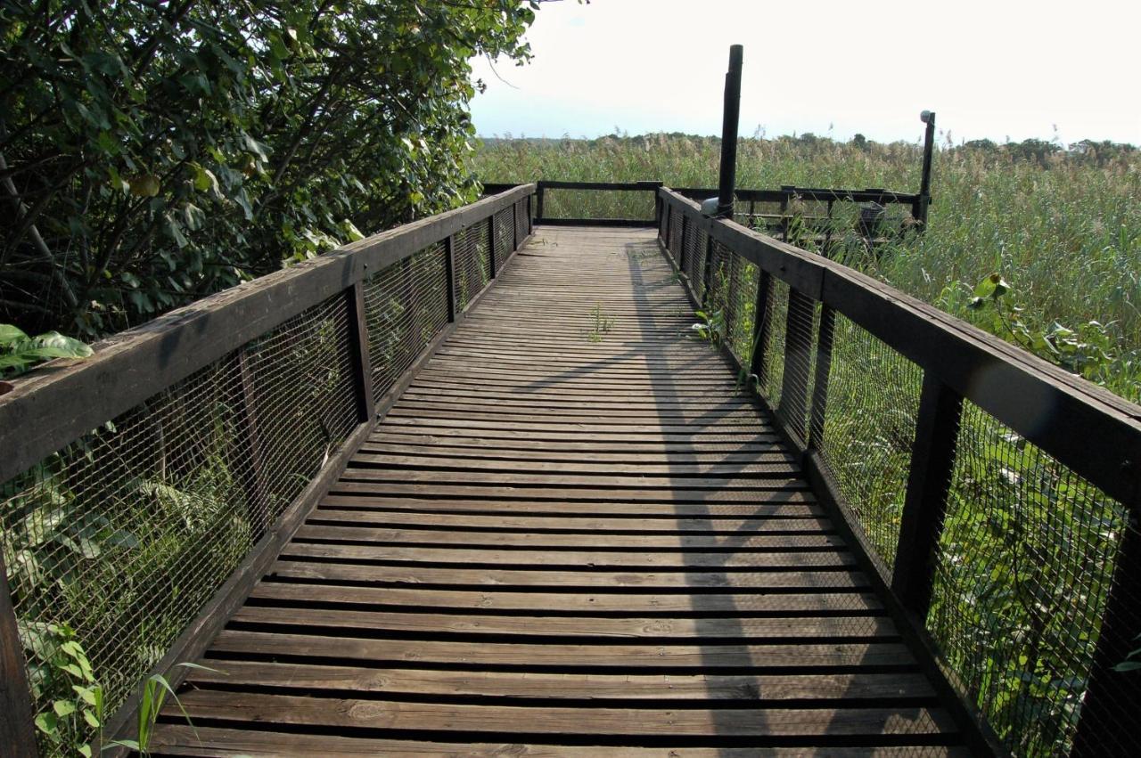 Saint Lucia Estuary 28 And 29 The Bridge 아파트 외부 사진