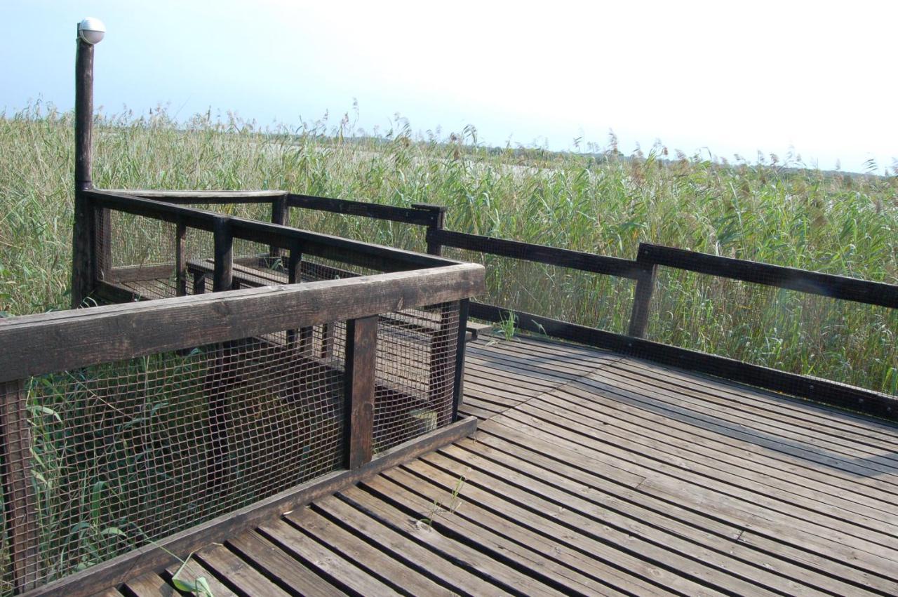 Saint Lucia Estuary 28 And 29 The Bridge 아파트 외부 사진