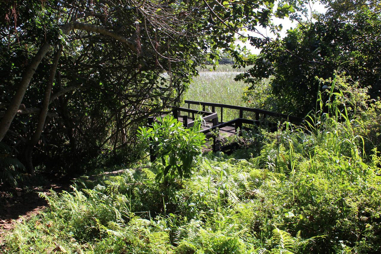 Saint Lucia Estuary 28 And 29 The Bridge 아파트 외부 사진